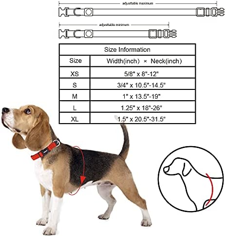 Dog Collar for Small Dogs (Width- 5/8", Neck - 8"-12") | Adjustable Padded Turquoise Dog Collar with Heavy Duty D-Ring | Soft Comfortable Fit for Small Dogs | Turquoise, X-Small