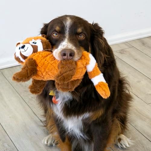 KONG Scampers Wildlife Plush Dog Toy with Low Tone Squeaker (Lemur/Red Panda Combo)