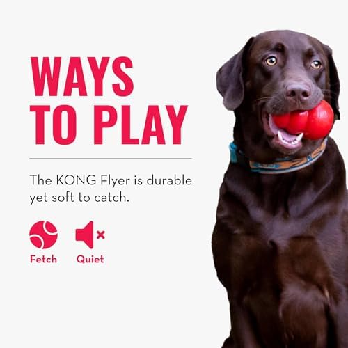 KONG Flyer, Natural Rubber Flying Disc, for Small Dogs (Pack of 2)