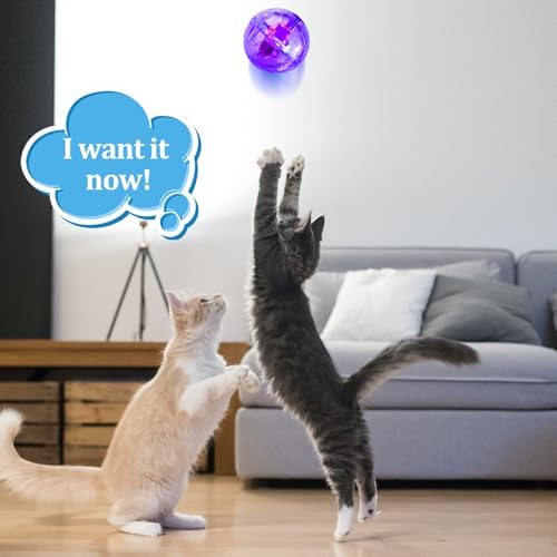 Sratte 2 Pcs Light up Cat Balls Ghost Hunting Motion, Pink, Purple