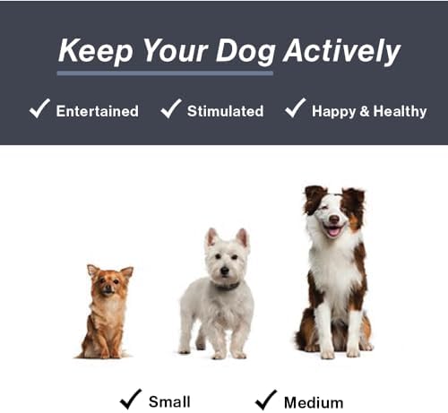 HugSmart Pet – Spiky Monster Dog Balls (3-Pack) | Plush Squeaky Ball for Dogs, Small, Medium Breeds ｜No Stuffing, Interactive Fetch, Squeaky Dog Toys for Aggressive Chewers, Designed in Canada