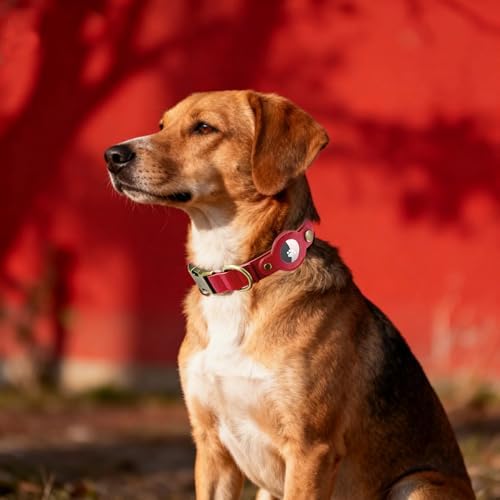 Airtag Dog Collar, PU Leather Collar with Airtag Holder for Large Dogs(Red)