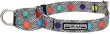 Lucky Love Dog Martingale Collar for Medium Dogs No Slip – SOCO, Medium
