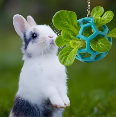 Rabbit Treat Ball, Bunny Enrichment Toy with Stainless Steel Hanger Set, Veggie Feeding Rabbit Ball Toy to Slow Feeder for Bunny, Guinea Pig, Hedgehog, Squirrel, Tortoise