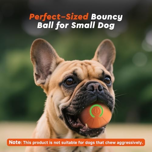 Interactive Small Dog Toy Ball, 2 Inch Smart Jumping Ball for Puppy/Small Dogs, Activated Automatic Bouncing Moving Vibrating, Dog Toy for Small Dogs to Keep Them Busy（Orange）