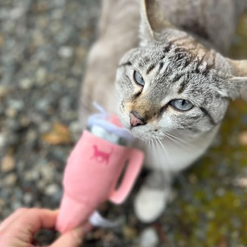PUPROAR Kitty Cup Catnip Cat Toy, Cat Birthday Gift & Cute Girly Accessory, Crinkle Toy for Indoor Cats (Pink Peach Dust)