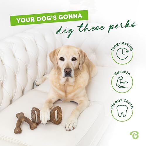Benebone 2-pack Wishbone/Dental Durable Dog Chew Toys, Real Bacon, Medium