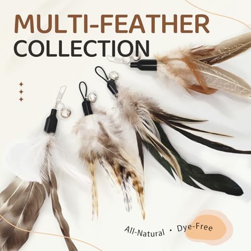 SONGWAY Interactive Cat Feather Toys - Cat Wand Toy Set with Retractable Teaser Wand and 6 PCS Natural Feather Refills, Da Bird Cat Toys for Indoor Cats Kittens