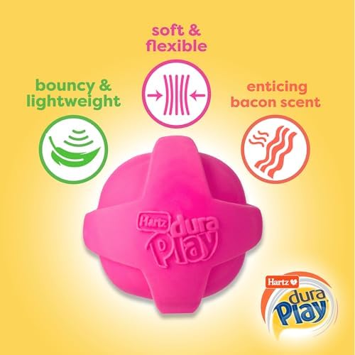 Hartz DuraPlay Bacon Scented Dog Toys, Small (Assorted Color) (Pack of 2)