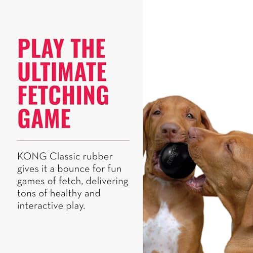 KONG Extreme Ball, Indestructible Rubber Dog Ball, for Small Dogs