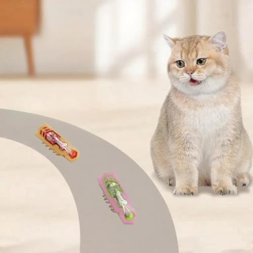 Interactive Cat Toy, 2 Pack Colorful Electric Vibrating Beetle, Self-Righting Automatic Crawl Toy, Bite Resistant Safe Pet Toy, Works On Carpet, Multi Cat Indoor Hunting Exercise Toy