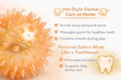 Squeaky Spiky Dog Ball for Teeth Cleaning & Gum Massage 3.5 Inch Medium Large Dogs Orange | Spiny TPR Rubber Chew Toy for Fetch Play Interactive Bouncy Dental Ball Durable BPA Free Nontoxic Floats
