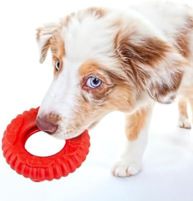 Jeffers Pet Natural Rubber Dog Chew Toy – Red Virgo, Large - Vanilla Scent, Durable, Non-Toxic, Dishwasher Safe, Interactive Fetch & Tug Toy - Perfect for Training Medium Chewers