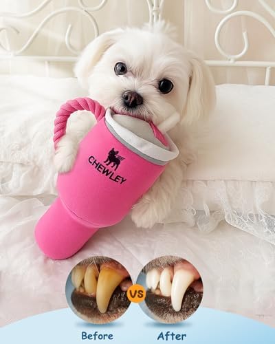 Swooflia Funny Plush Rope Dog Toy Squeaky - Cup Interactive Stuffed Dog Toy for Puppies Medium Small Breed Dogs to Keep Them Busy, Cute Birthday Squeaky Plush Gift