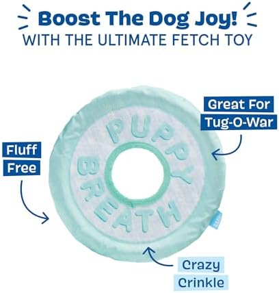 BarkBox Puppy Breath Mint Dog Toy - for Dogs