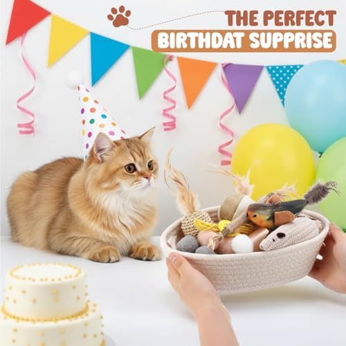 Supervitae 24 in 1 Kitten Toys for Indoor Cat Storage Basket Gift Toys Set Hanging Interactive Cat Toy Matatabi Stick and Crinkle Balls Teething Toy, Attract Kitten to Swat Hunt for Pet Indoor