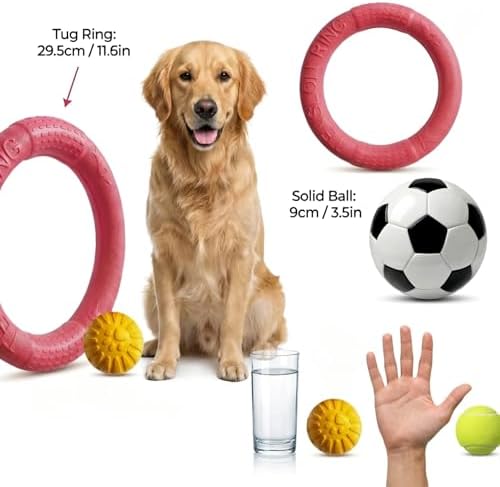 Large Dog Toy Ring and Ball Combo Set, Floating EVA 2 Pack (Red, Large)