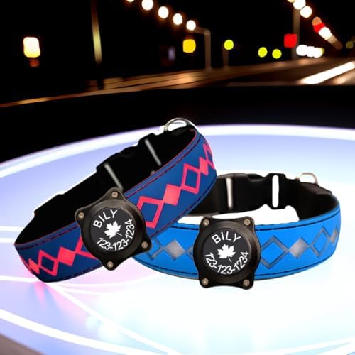 Personalized Flashing Night Dog Collar with Waterproof airtag Holder for Black Dog Night Walking (Blue, L(15.7-19.7"))