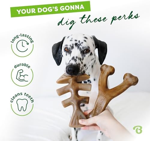 Benebone 2-pack Fishbone/Wishbone Durable Dog Chew Toys, Dog Bones, Small