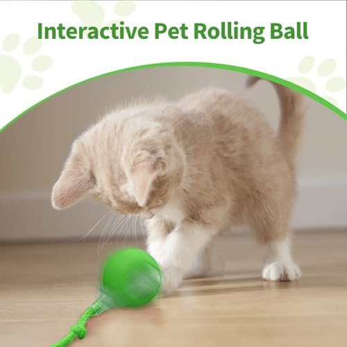 1pcs Smart Interactive Pet Toy Ball, Self Rolling Dog Ball Interactive Cat Toys, 360° Smart Automatic Rolling Ball Toy for Dogs Cats Indoor Outdoor Play (Grey)