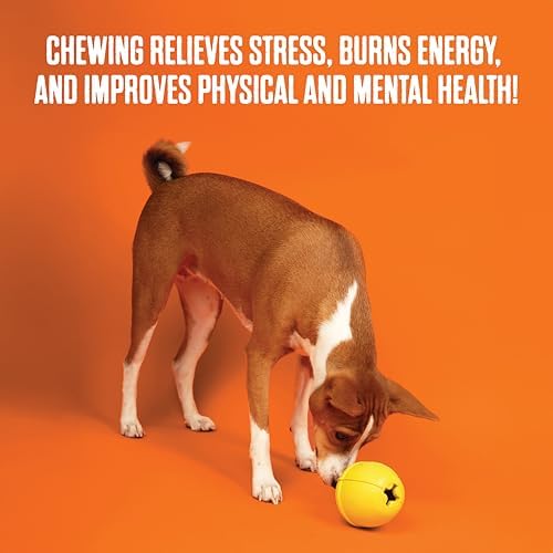 BULLYMAKE Toss N Treat Cheeseburger Dog Toy, Treat Dispensing, Rubber Toy
