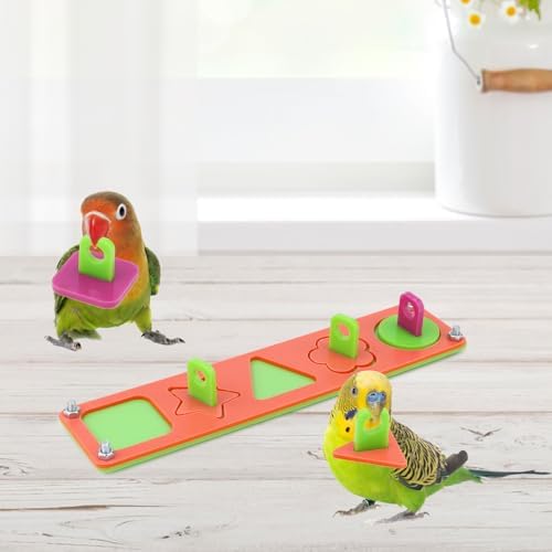 Hypeety Bird Intelligence Training Toys Parrot Learning Block Puzzles