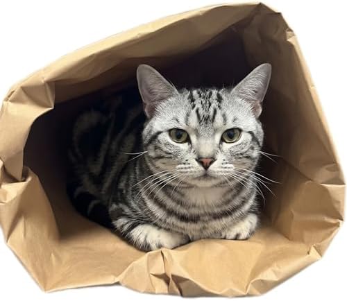 Durable Kraft Paper Cat Tunnel Bag, Extra Large Sack for Indoor Cats & Kittens, 29.5" Collapsible Interactive Toy for Hiding & Hunting, Fits Bunnies, Rabbits and Ferrets