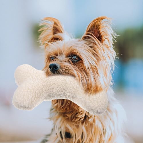 ABOOFAN Cute Dog Chewing Toy Interactive Squeaker Dog Toy for Puppies Soft Washable Material for Reducing Boredom and Destructive Behavior Lightweight Design
