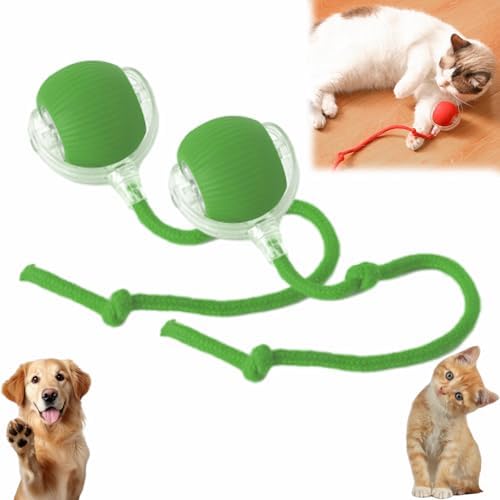 Interactive Pet Toy Ball, 2025 New Interactive Rolling Dog Ball, for Bored Indoor Cats, Automatic Rotating Rolling Balls