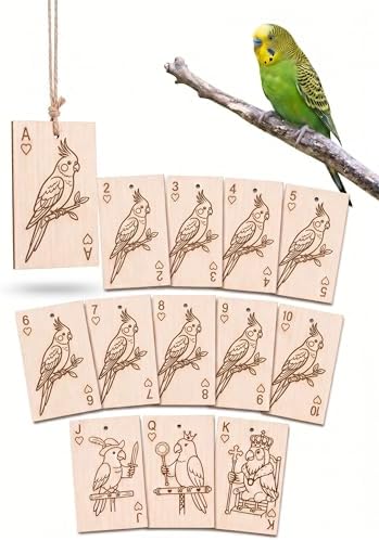 Natural Balsa Wood Bird Chew Toy 13 Count, Shredding Toy for Bird