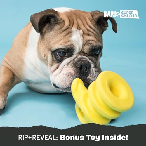 BarkBox Captain Parrot Super Chewer - 2-in-1 - Toy for Large Dogs
