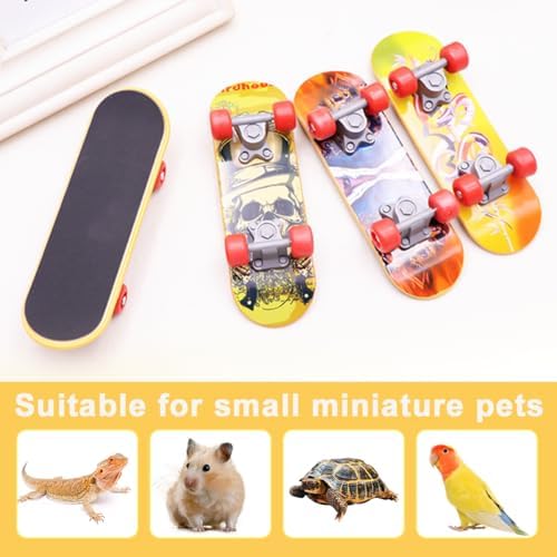 Mini Turtle Skateboard for Small Pets - Fun Tortoise Skateboard Toy for Reptiles, Bearded Dragons, Parrots, and Other Small Animals - Cute and Safe Skateboard for Turtles and Tortoises(Large)