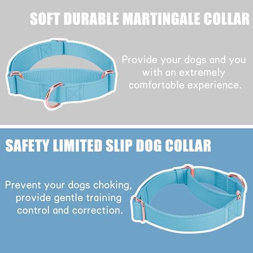 Soft Leather Martingale Dog Collar - Adjustable Rose Gold Limited Slip Collars [Easy to Clean], Stylish Durable Heavy Duty Nylon No Pull Training Collar for Small Medium Large Dogs XS Light Blue