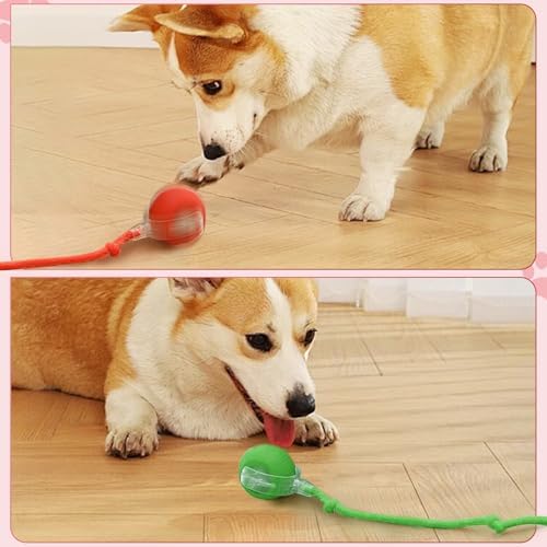 New Interactive Rolling Dog Ball, 360° Interactive Cat Toys for Indoor Cats, Electric Balls for Small Medium Dogs Cats, Grey 1pcs