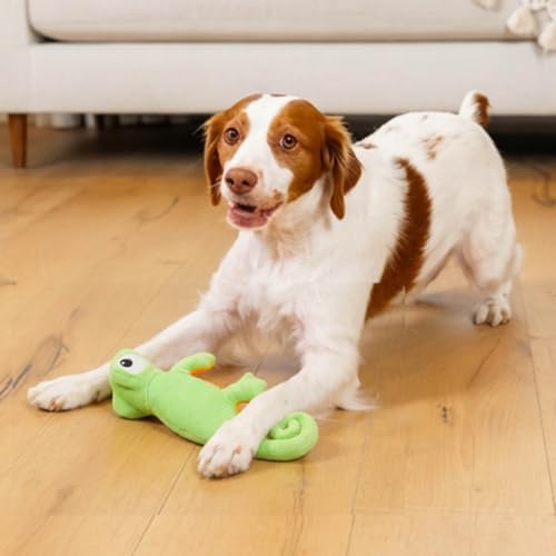 Outward Hound Coated Critterz Dog Toy – Plush & Molded Texture, Squeaky Fetch, Small & Medium Dogs, Lizard, 10.4"