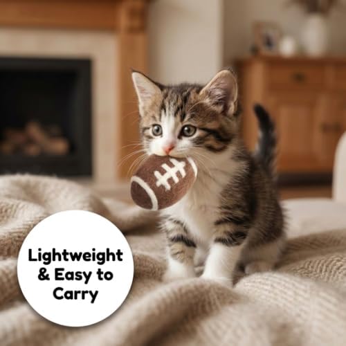 Glaciart One Sports Wool Balls for Cats – 5 Pcs with Catnip Pouch - Soft Fuzzy Enrichment 100% Natural Felt Cat Toy - Interactive Play Cat Toy Set - Safe for Pets, Non-AZO Colored Dyes – 1.6”