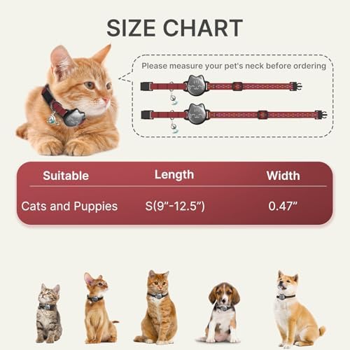 AirTag Cat Collar, Reflective Breakaway Collar, Hidden Holder with Bell | Compatible with Apple AirTag 1st & 2nd Gen, Lightweight Water-Resistant Strap for Cats, AirTag Not Included