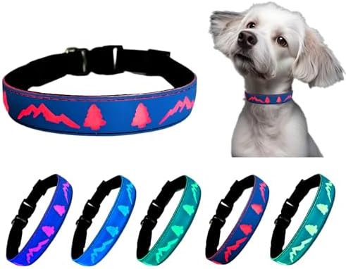 Personalized Light up Dog Collars Rechargeable with Waterproof airtag Holder for Black Dog Night Walking (Blue Collar 15 Modes Lighting, XL(19.7-23.6"))