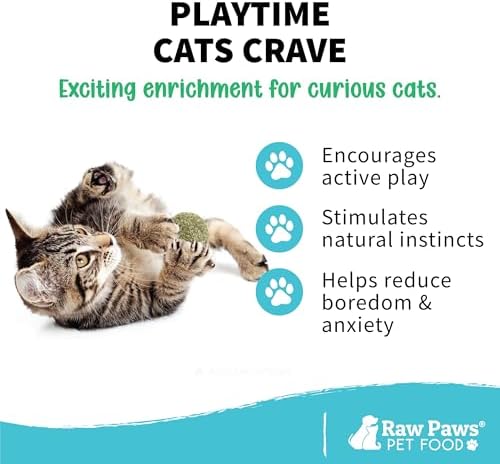 Raw Paws Catnip Balls for Cats (6-Count) - Interactive Indoor Cat Toy