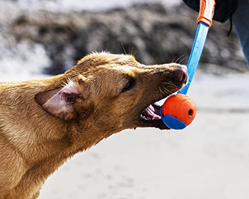 Chuckit! High-Bounce Rubber Fetch Ball Dog Toy, Large 3in, for Big Dogs