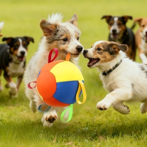 AIERSA Herding Ball for Dogs,9.85 in Tug of War Dog Toy with Handles for Outdoor Play,Dog Soccer Ball Toy&Training Toy Balls for Australian Shepherd,Interactive Toy Balls for Small&Medium Dogs