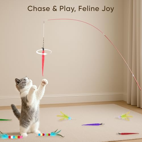 Cat Toys for Indoor Cats, 13 Packs Interactive Cat Wand Toy Set