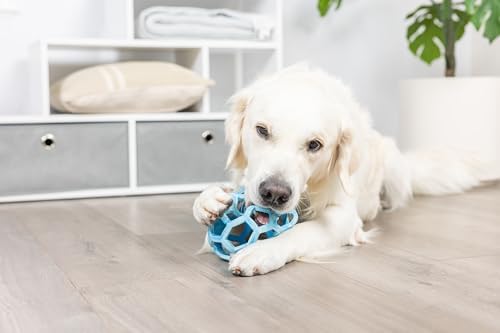Chuckit! Holee Roller Dog Treat Puzzle Ball, Large (3"), Blue – Interactive Treat & Chew Puzzle Toy for Dogs 60–100 lb – Durable Rubber Fetch Ball for Mental Stimulation – Pack of 1