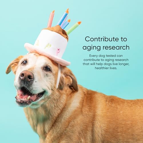 Embark Dog Age Test Kit – Estimates Dog's Age & Birthday from DNA | DNA age test for dogs using methylation science. Ideal for rescue & unknown-history dogs. Includes life-stage care tips.