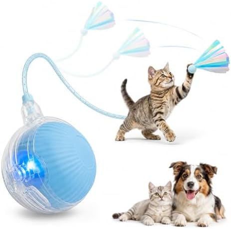 Interactive Cat Toy Ball with LED Lights – USB-C Rechargeable Automatic Feather Teaser for Indoor Cats & Kittens, Fun Chase & Exercise Toy