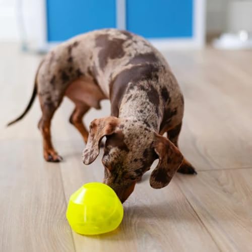 Messy Mutts Stuff n Wobble Ball, 3.9 Inch, Treat Toy, Green