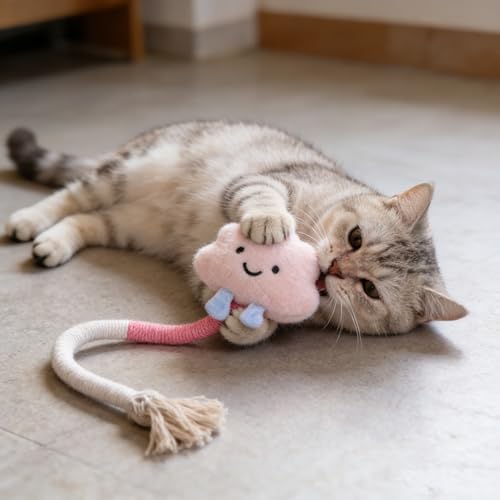 20 Pcs Cat Toy Pack Interactive Kitten Toy Set,Including Cute Catnip Chew Rope Springs Mice Crinkle Ball Furry Balls Toys for Indoor Cat,Pink Kitten Toys with Gift Bag