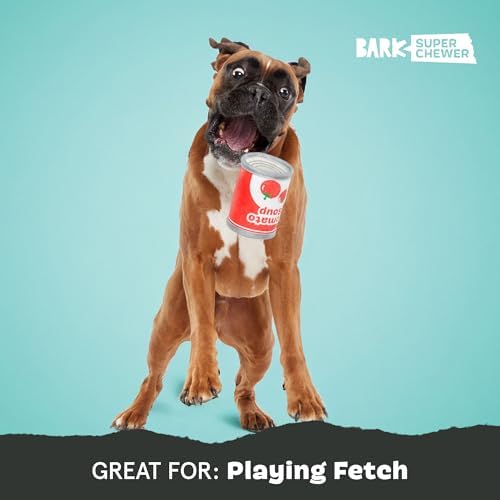 BarkBox Tomutto Soup Dog Toy - Large