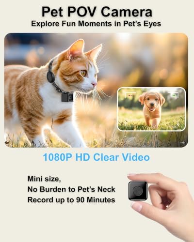Cat Camera Collar with Tracker Tag, 1080P HD Pet POV Action Cam, No WiFi No App One-Click Video Recorder for Cats & Small Dogs — Lightweight 0.7oz, Night Vision,Laptop Playback