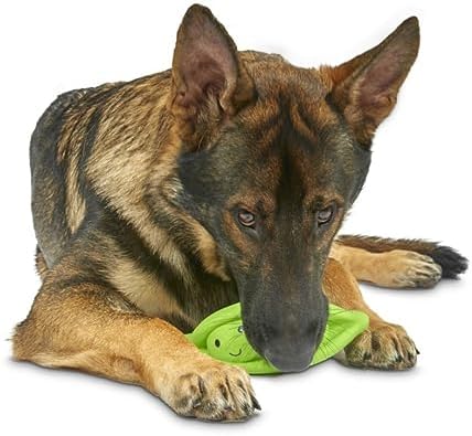 Petface Latex Pea Pod Dog Toy, Large
